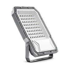 Hawk Floodlight