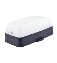 Bulkhead Light